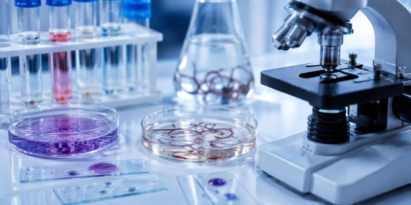 Especialista analizando una muestra para estudios de parasitología en laboratorio clínico